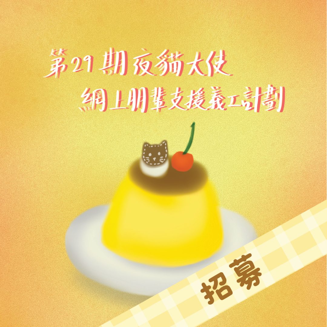 二十九期夜貓大使網上朋輩支援義工計劃